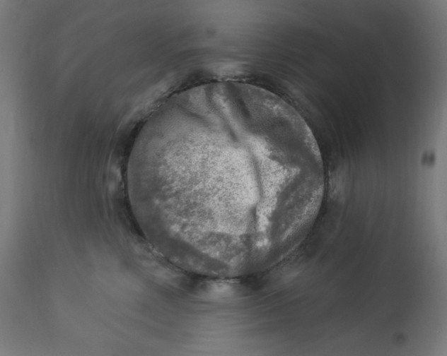 X0000112760618200909171251