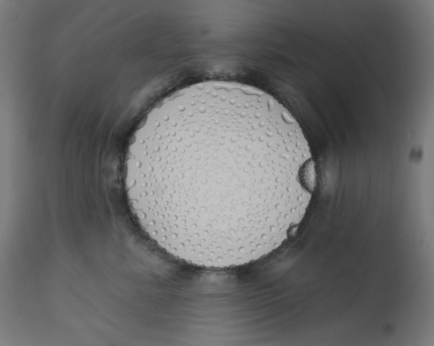 X0000112760619200909171251