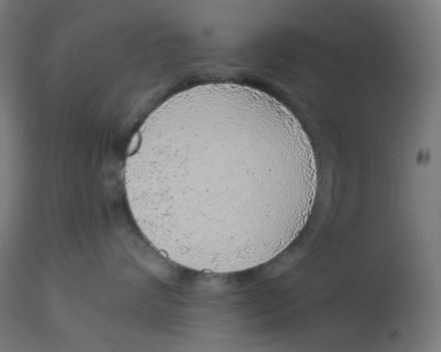 X0000112760624200909171251