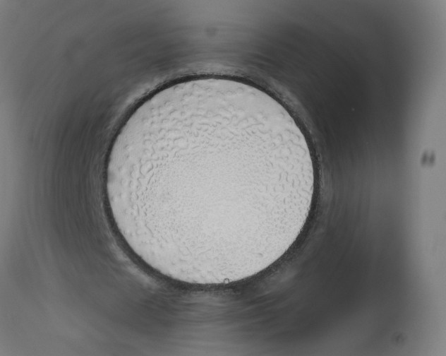 X0000112760625200909171250