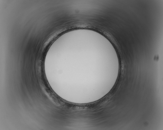 X0000112760626200909171250