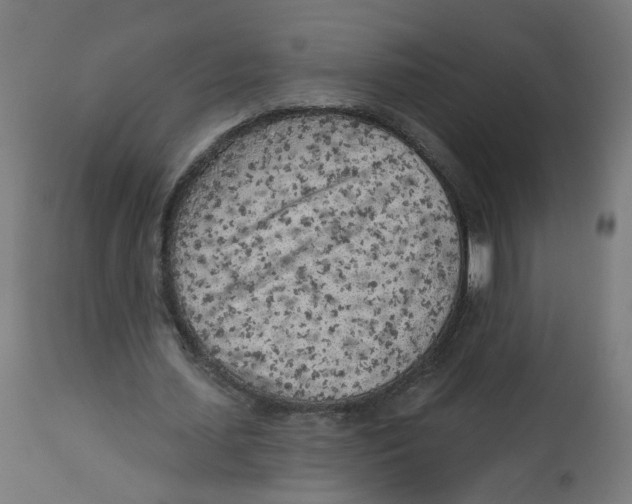 X0000112760627200909171250