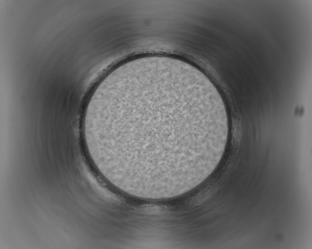 X0000112760629200909171250
