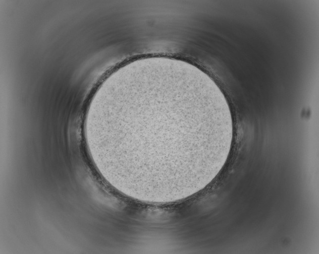 X0000112760632200909171250
