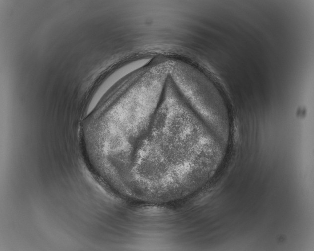 X0000112760637200909171250