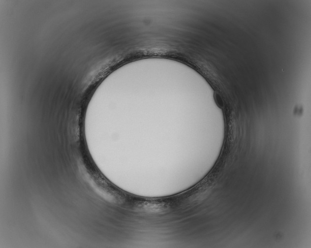 X0000112760638200909171250