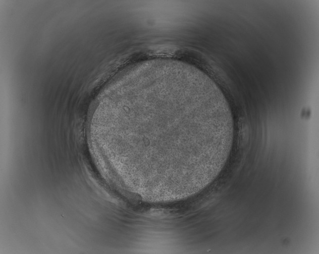 X0000112760641200909171250