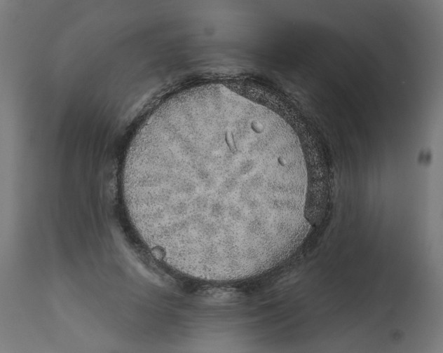 X0000112760642200909171250