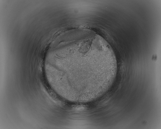 X0000112760643200909171250