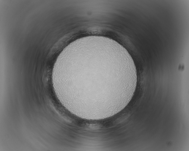 X0000112760645200909171251