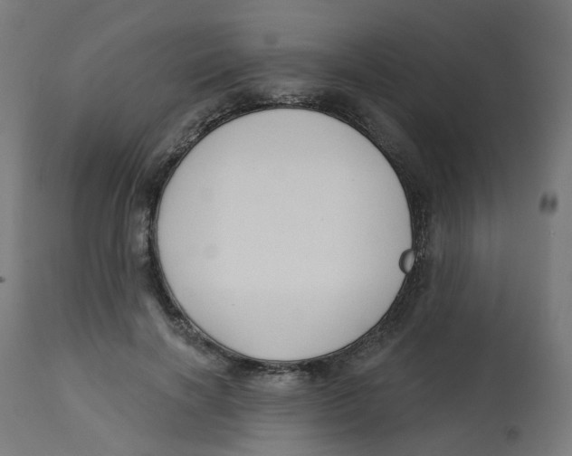 X0000112760646200909171251