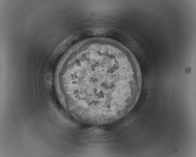 X0000112760648200909171251