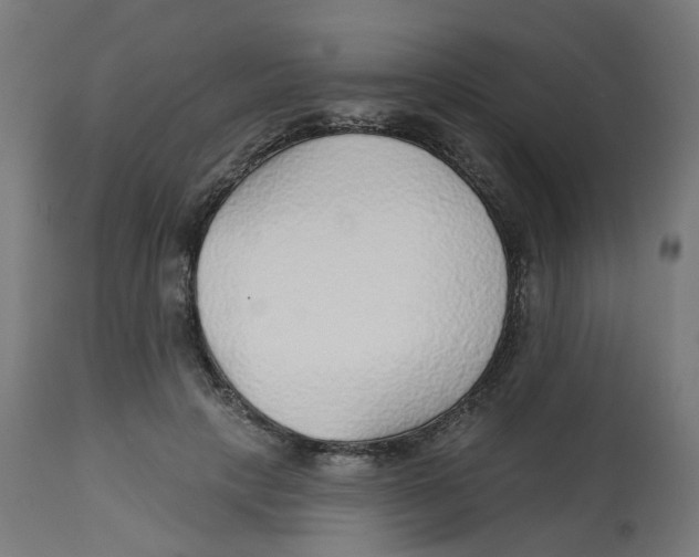 X0000112760649200909171251