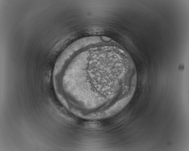X0000112760652200909171251
