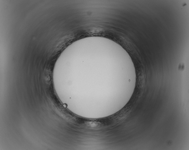 X0000112760654200909171251
