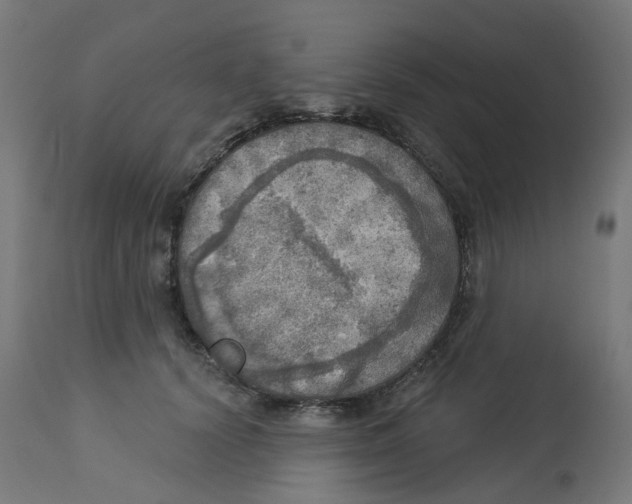 X0000112760656200909171251