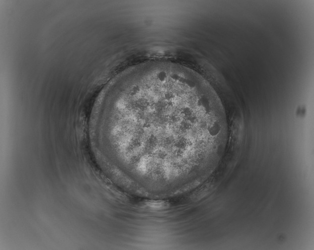X0000112760659200909171251