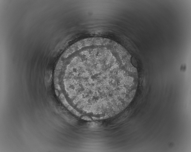 X0000112760660200909171251