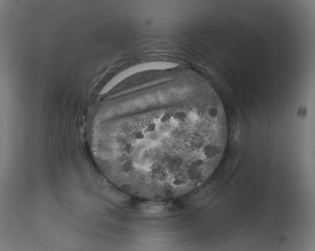X0000112760661200909171251