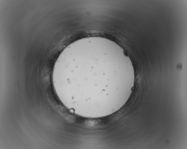 X0000112760662200909171251