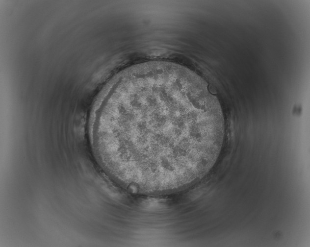 X0000112760664200909171251