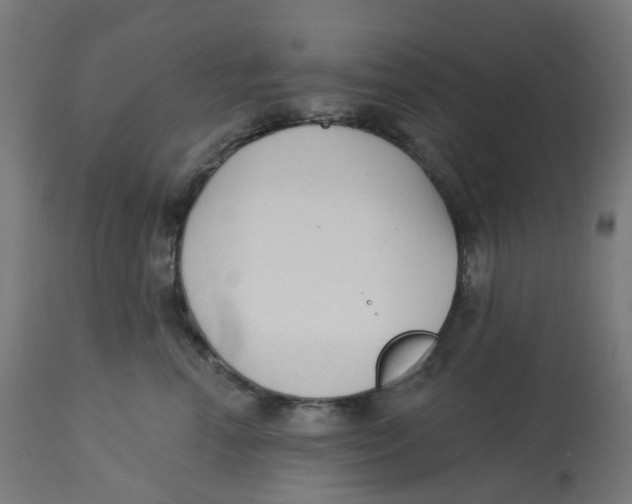 X0000112760666200909171251