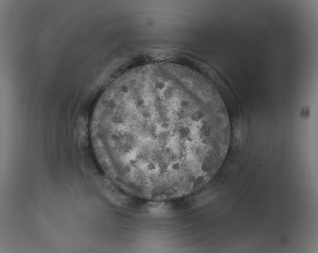 X0000112760667200909171251