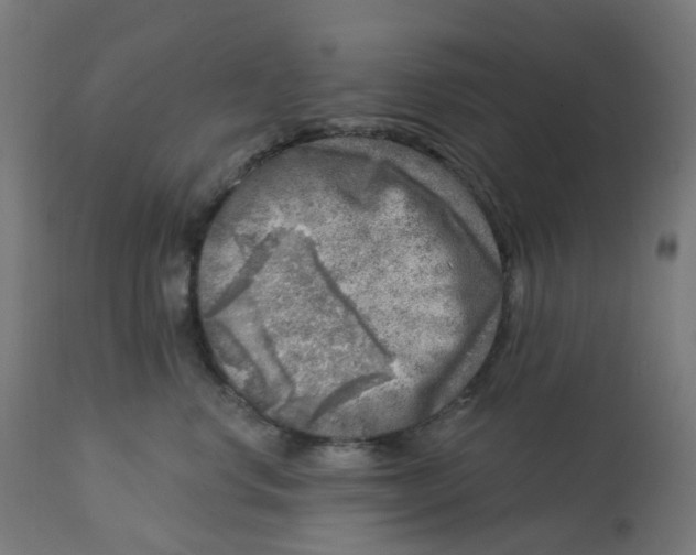 X0000112760668200909171251