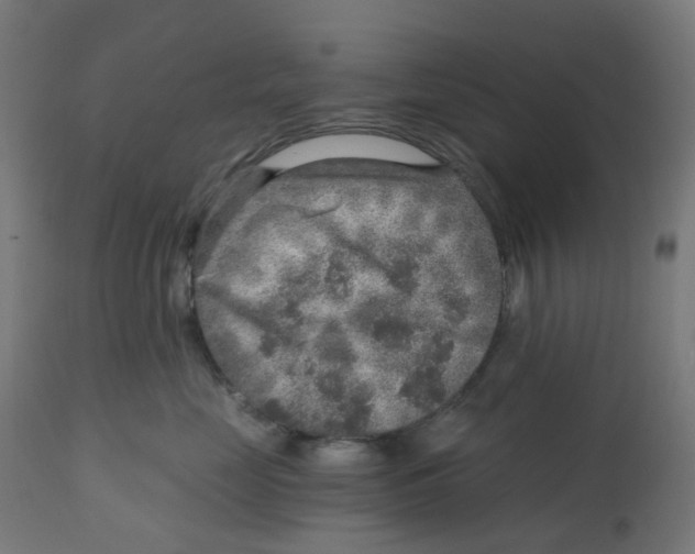 X0000112760669200909171251