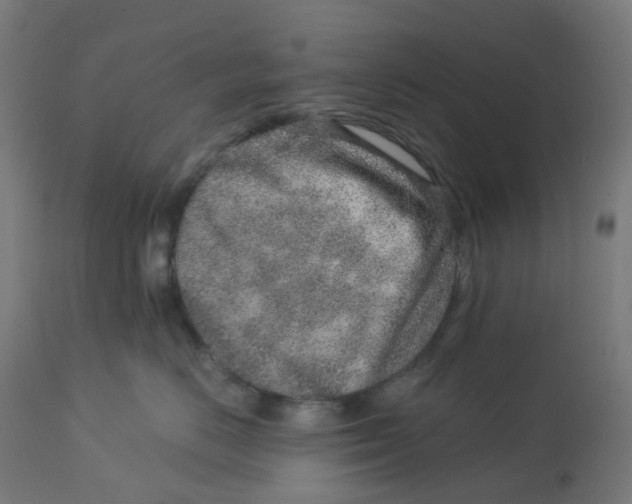 X0000112760670200909171251