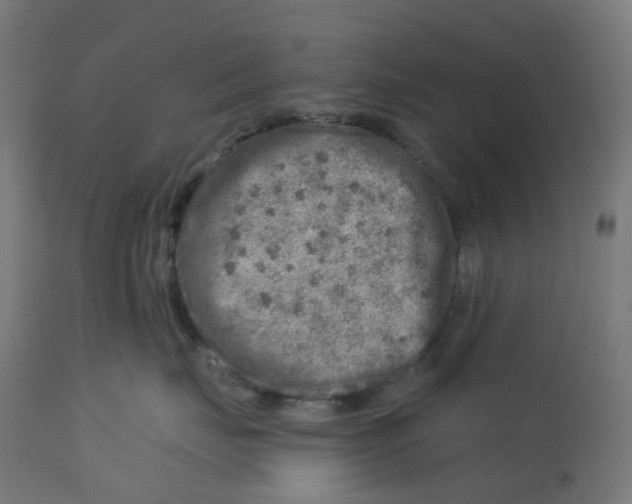 X0000112760671200909171251