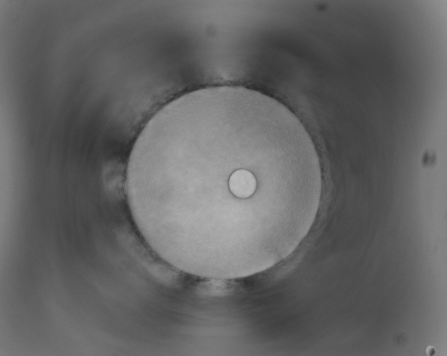 X0000112760672200909171251