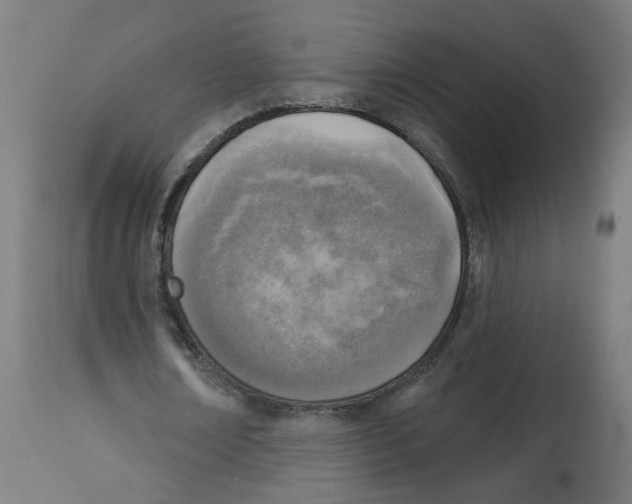 X0000112760674200909171250