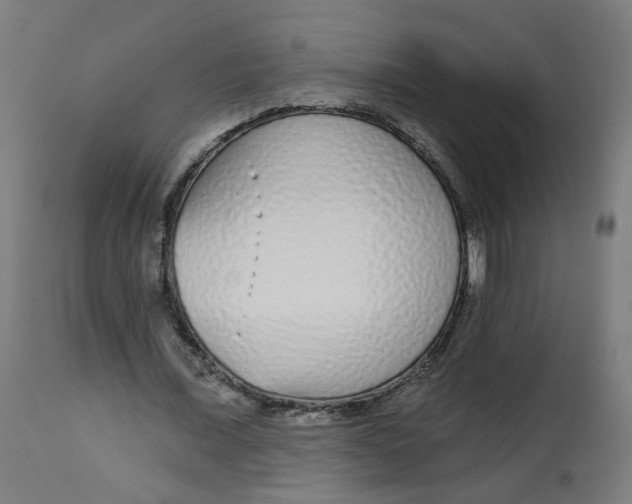 X0000112760675200909171250