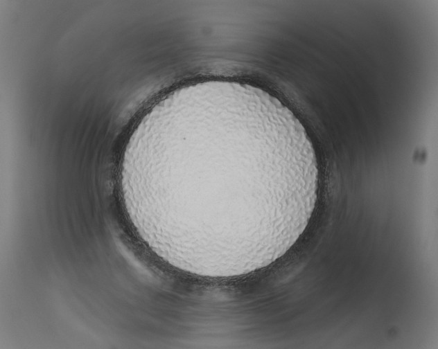 X0000112760683200909171250