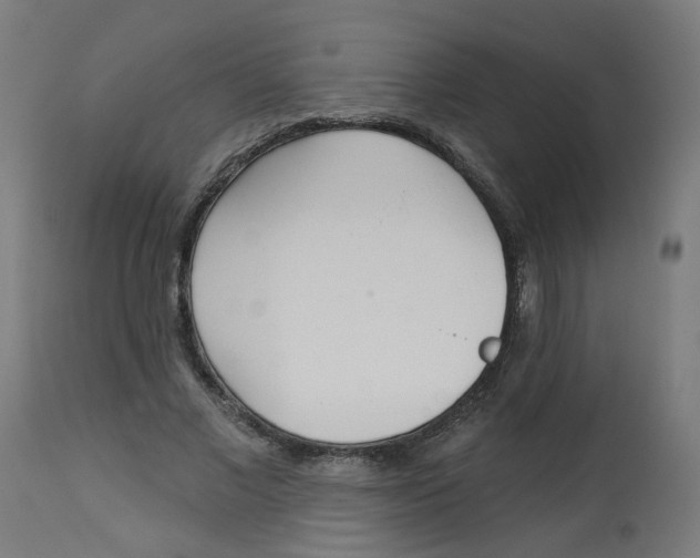 X0000112760685200909171250