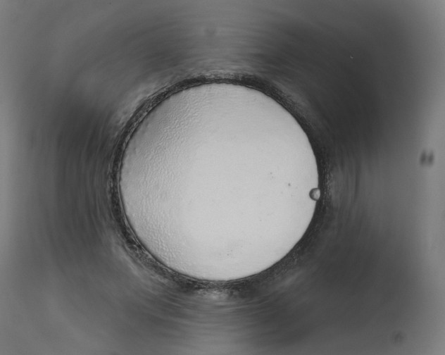 X0000112760687200909171250