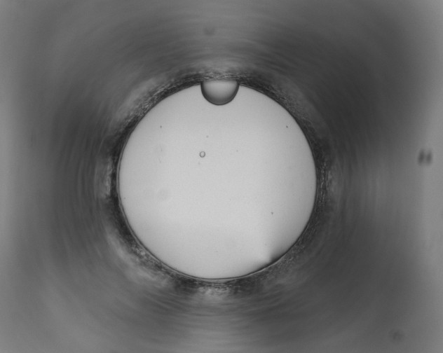 X0000112760694200909171250