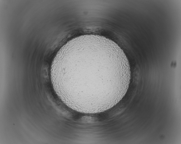 X0000112760699200909171250