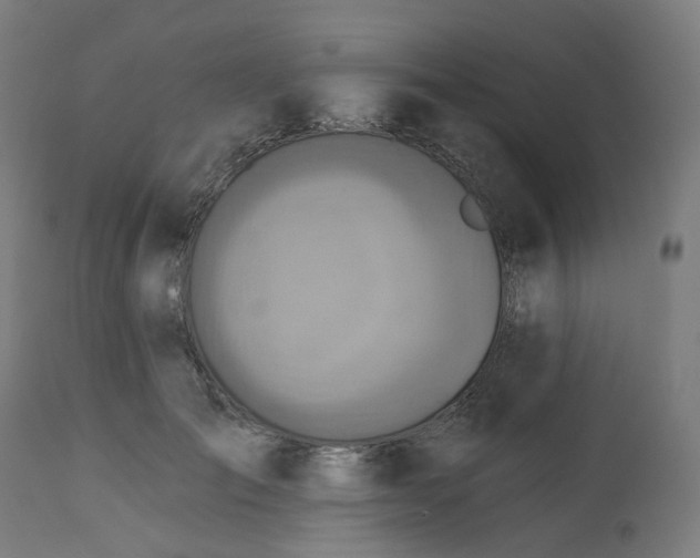 X0000112760701200909171250