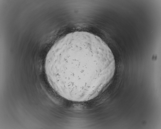 X0000112760703200909171250