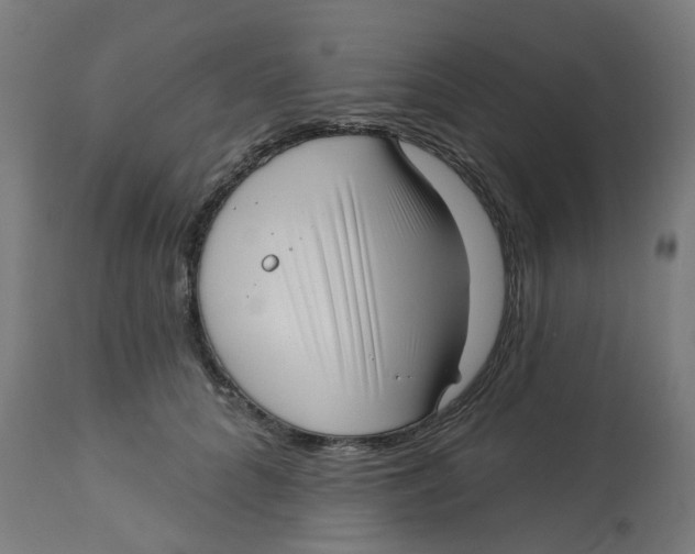 X0000112760704200909171250