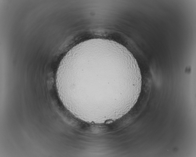 X0000112760707200909171250
