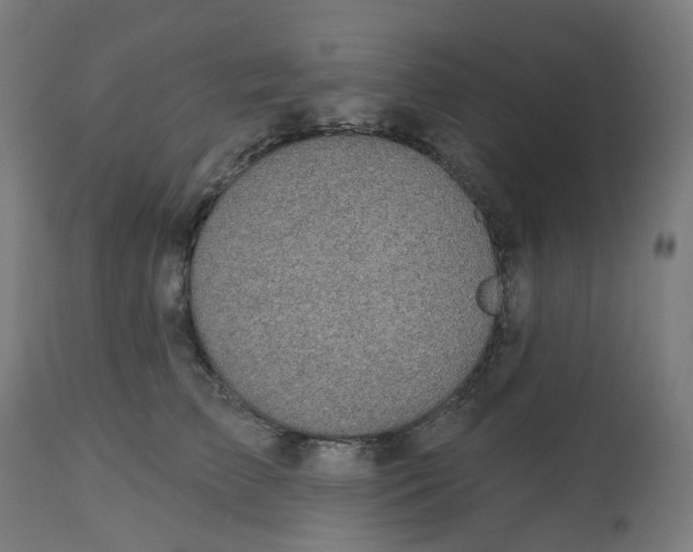 X0000112760709200909171250