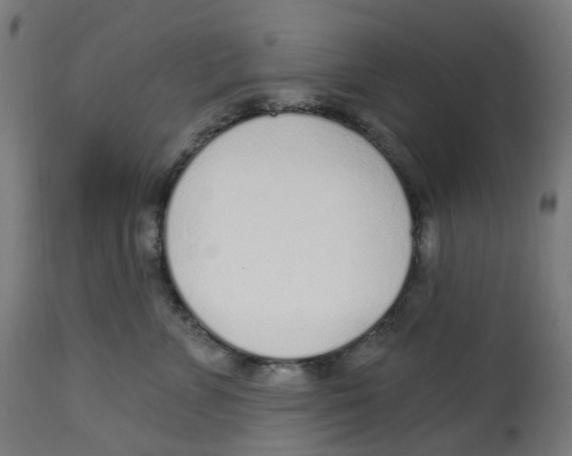 X0000112760715200909171249