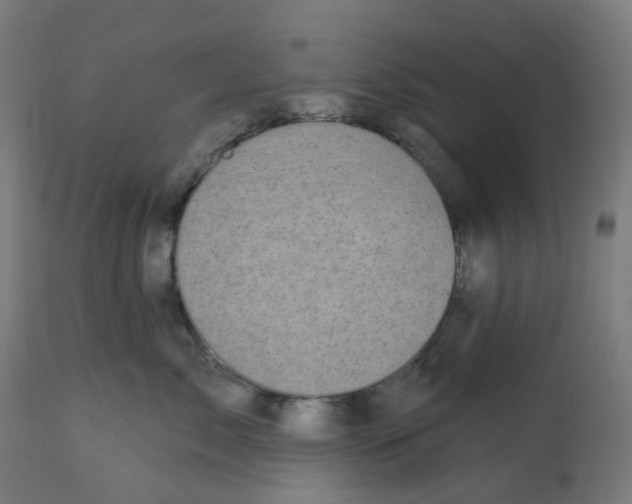 X0000112760717200909171249