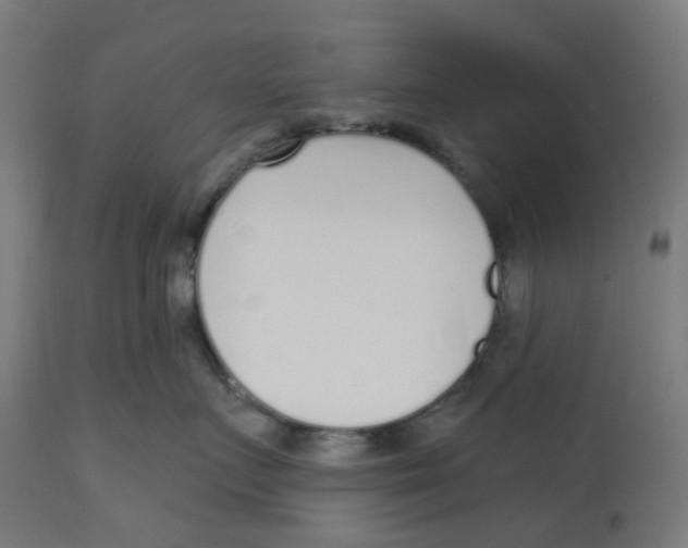 X0000112760719200909171249