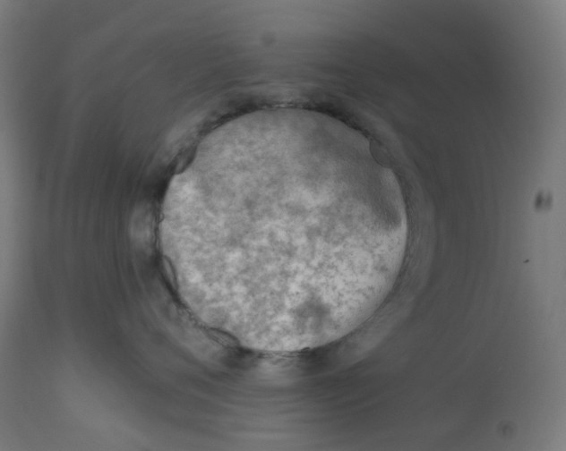 X0000112760720200909171249