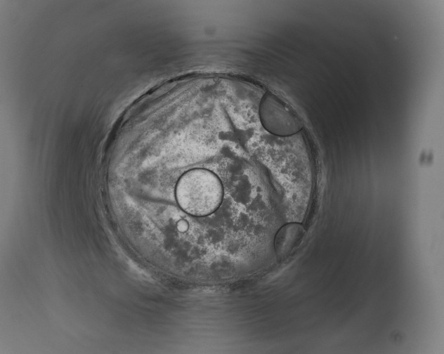 X0000112760721200909171249