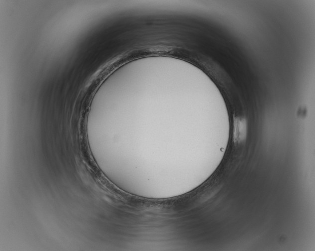 X0000112760723200909171249